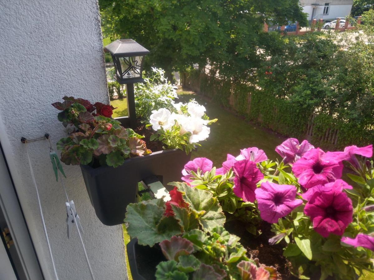 Apartament Olivia Centrum z zamknietym parkingiem Gdańsk Buitenkant foto