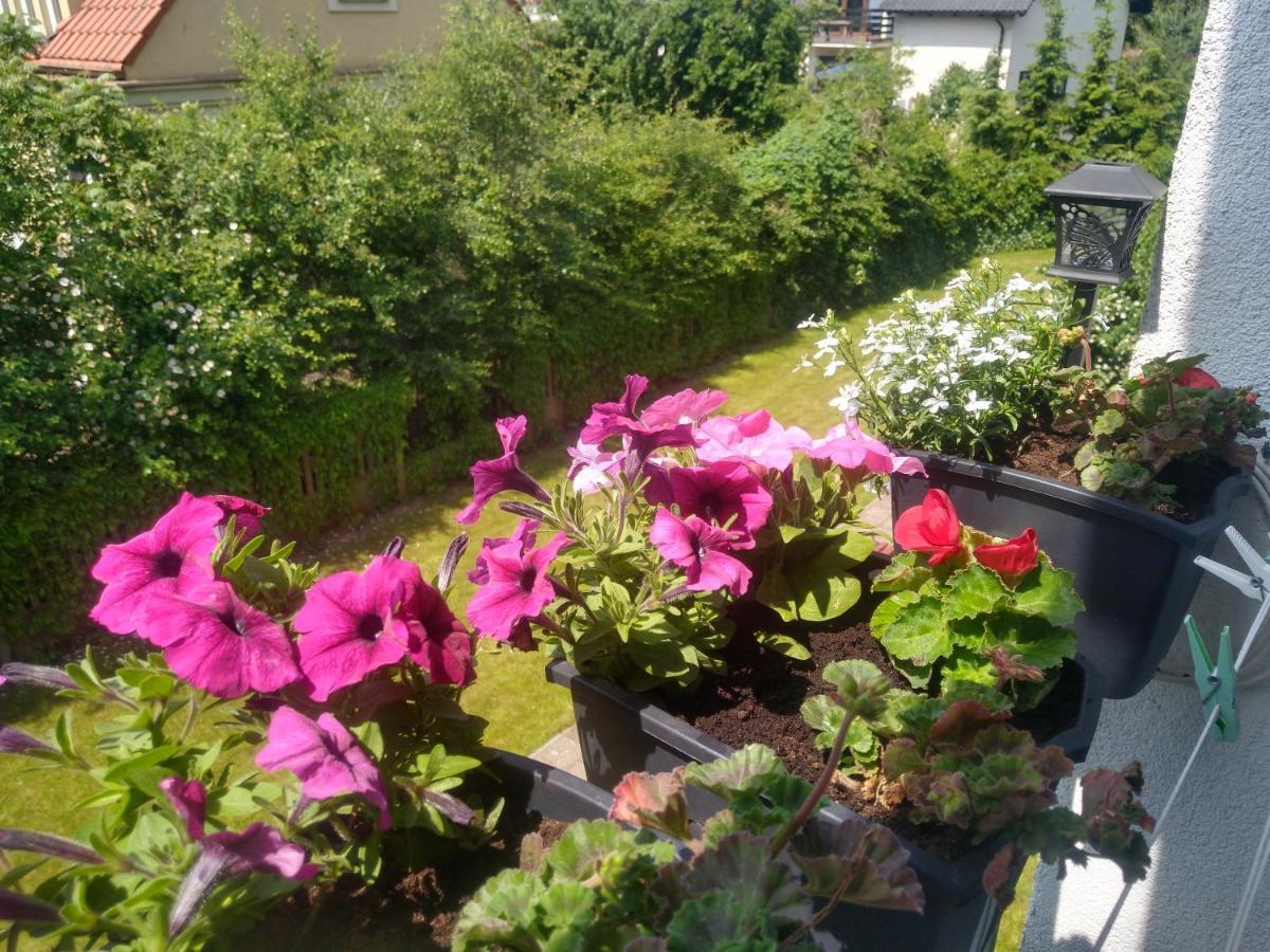 Apartament Olivia Centrum z zamknietym parkingiem Gdańsk Buitenkant foto